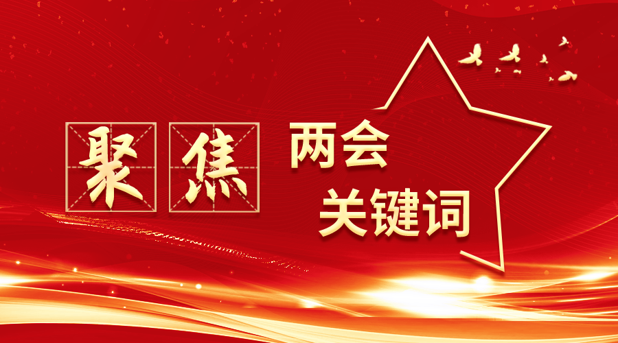  开云kaiyun网页版官网：聚焦两会关键词 加快发展新质生产力