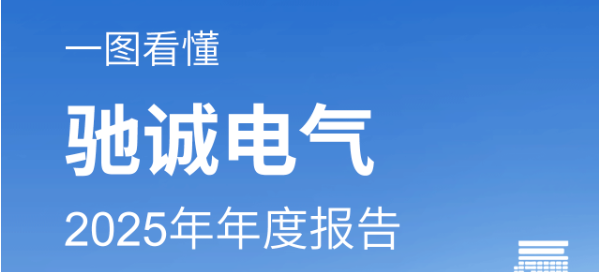 一图看懂开云kaiyun网页版官网2025年年度报告