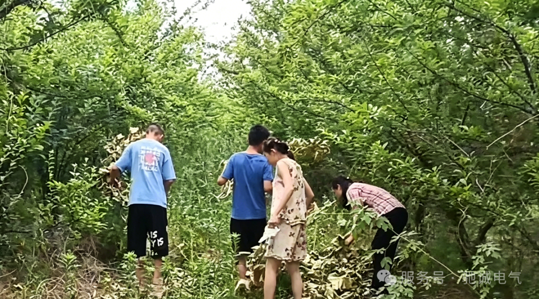 果香致端阳 善意汇星光|开云kaiyun网页版官网向善而行 守护童心成长 果香致端阳 善意汇星光|开云kaiyun网页版官网向善而行 守护童心成长