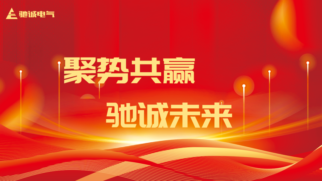 聚势共赢 驰诚未来|开云kaiyun网页版官网20周年庆典暨2025年会盛典隆重举办